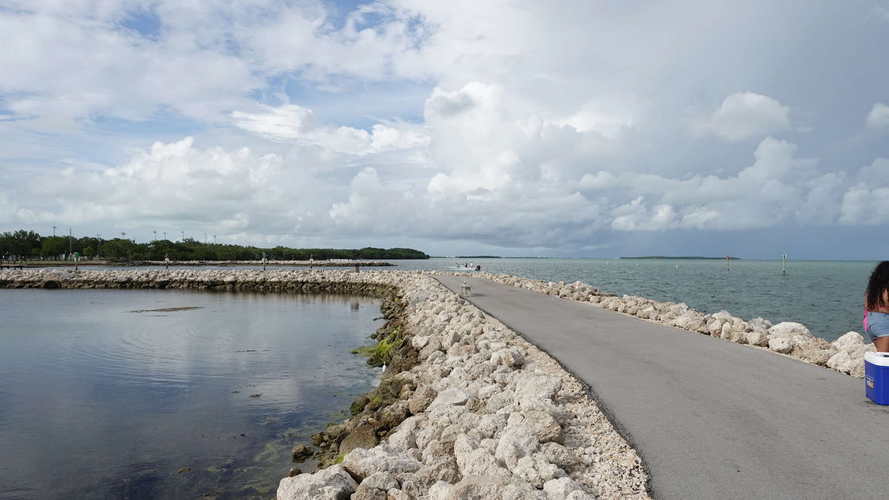 MIA_2023-08-19 17-37-49_RX_06272